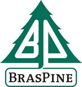 Logo-braspine-medio